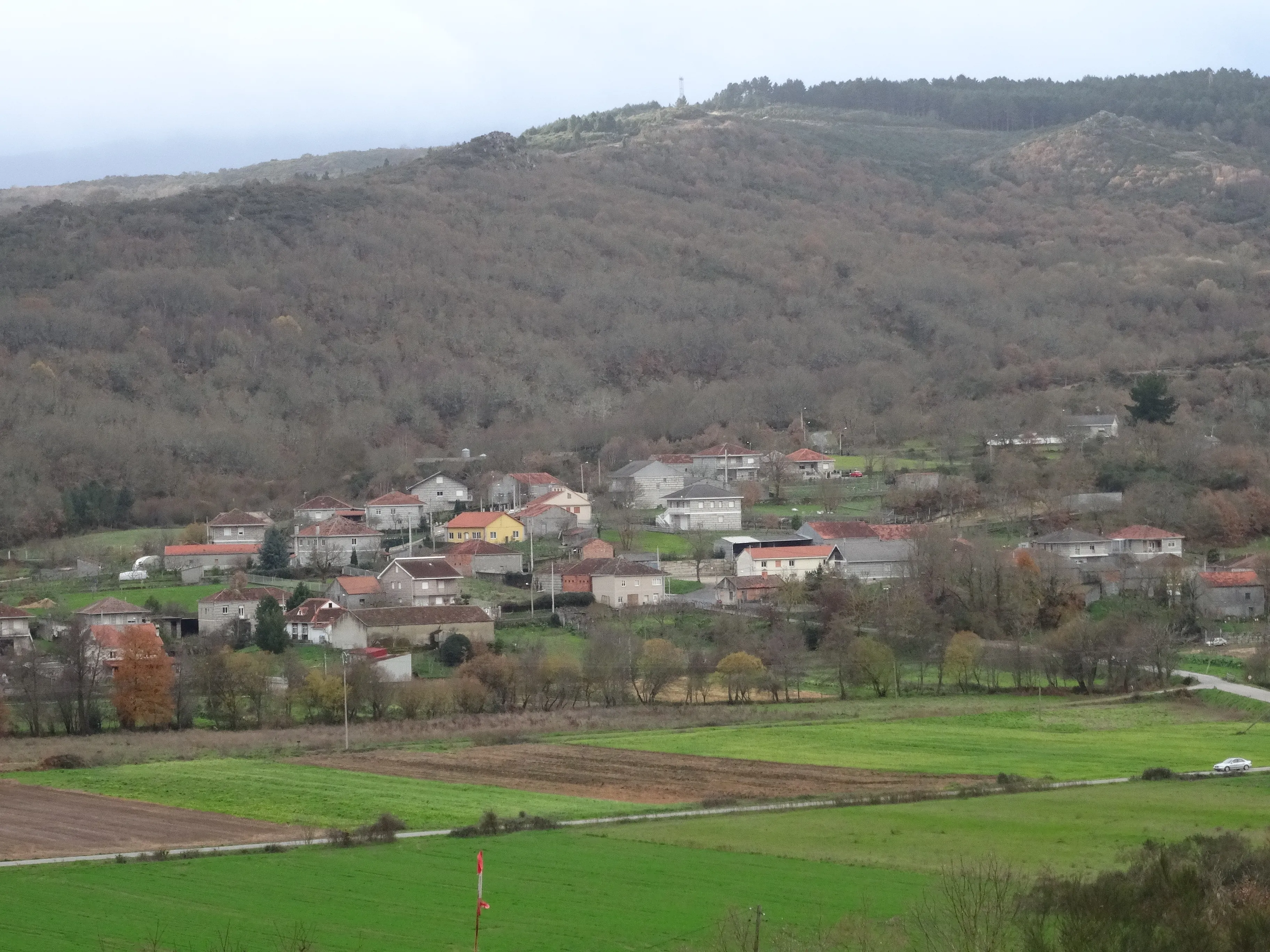 Vista de Nocedo: casas no medio do val, leiras verdes diante e monte detrás