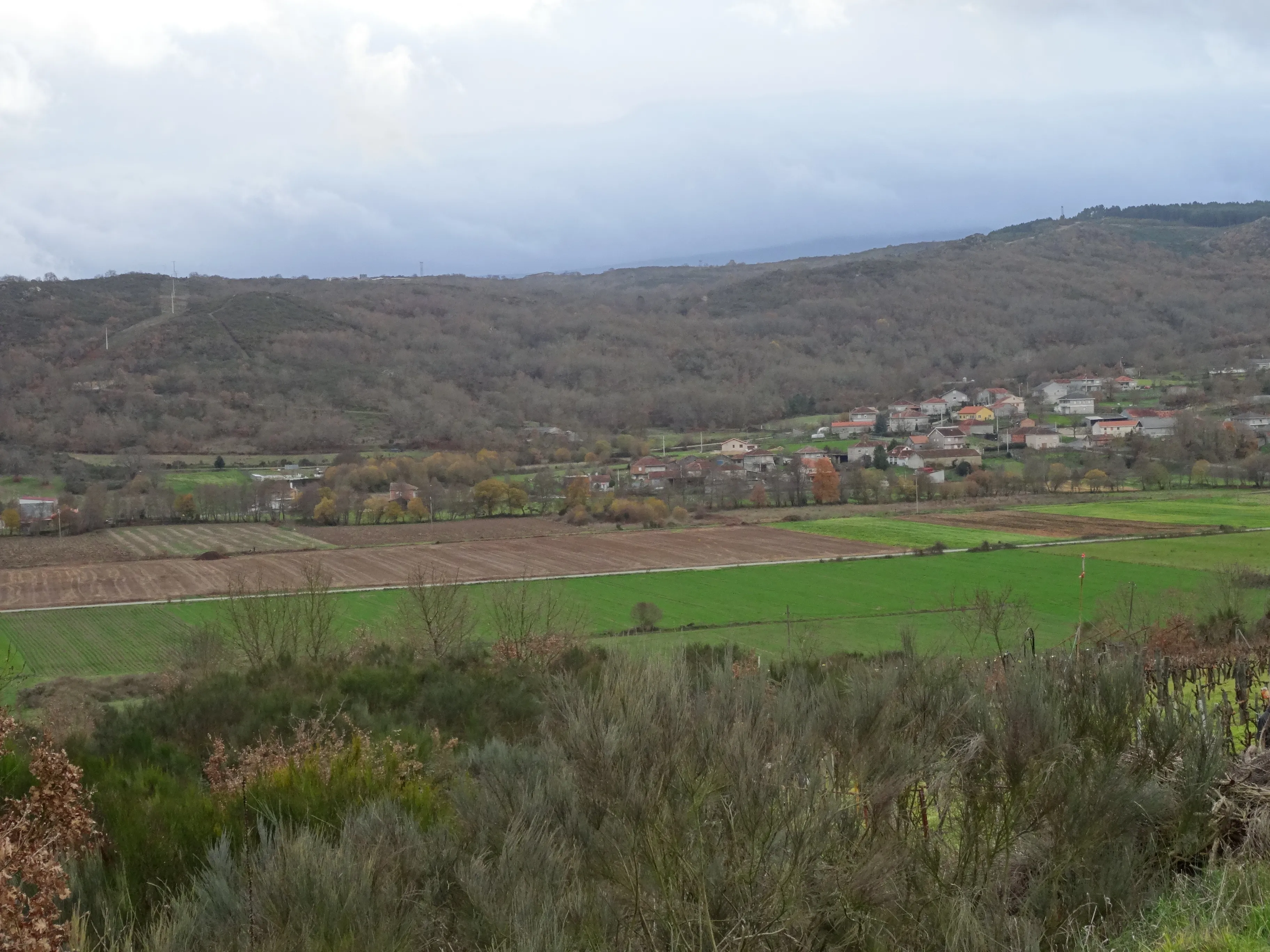 Chaira verde con leiras e o pobo ao fondo
